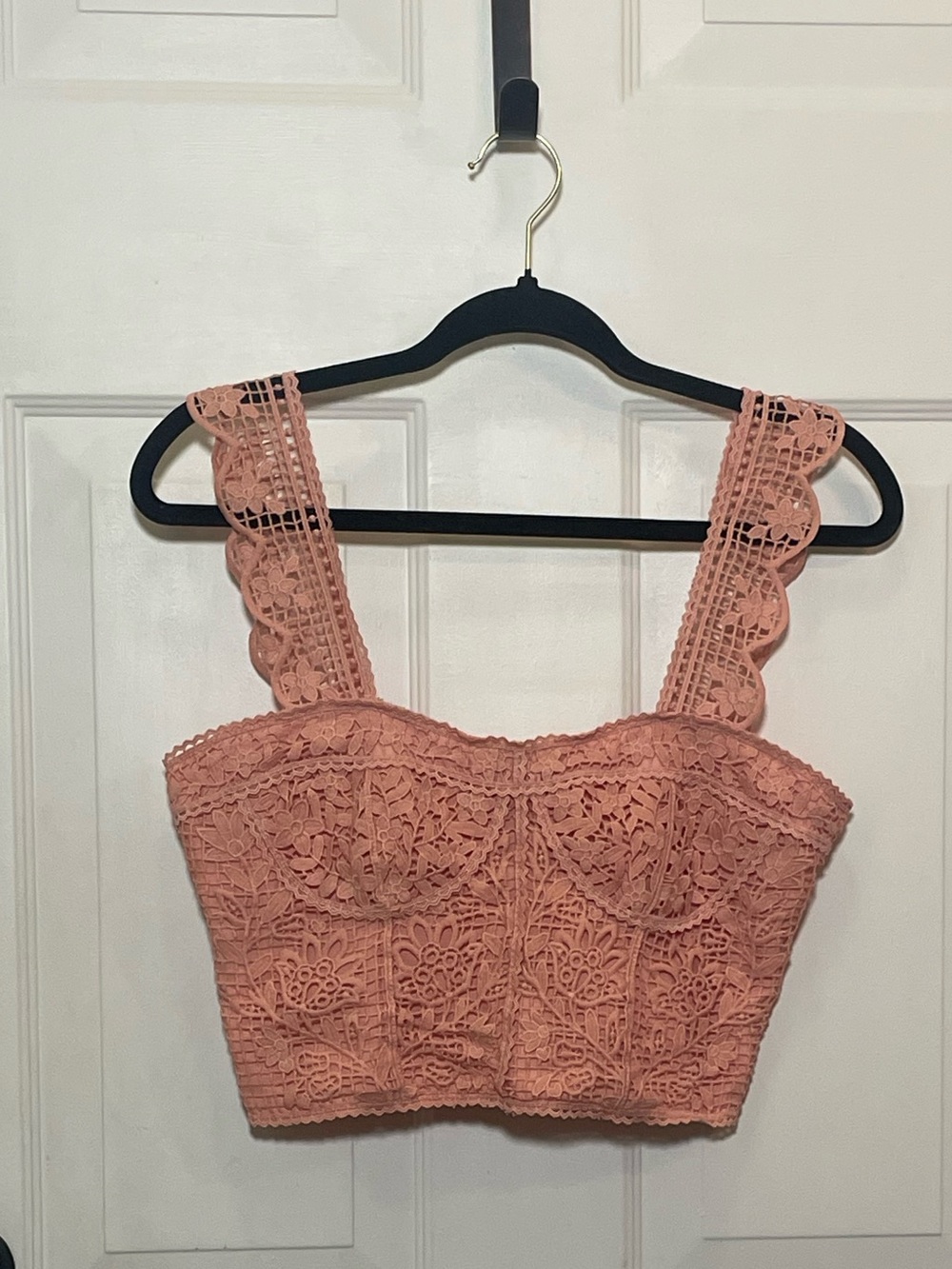 Farm Rio Lace Bustier Crop Top in Dusty Rose
